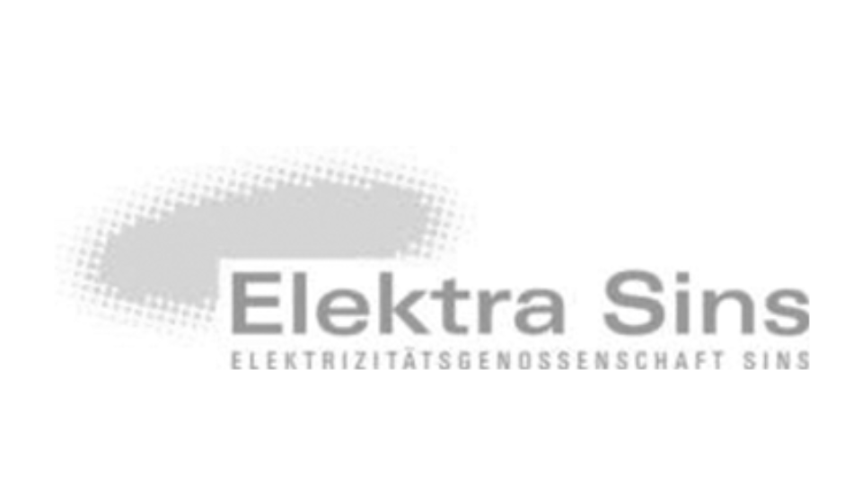 Elektra Sins Logo